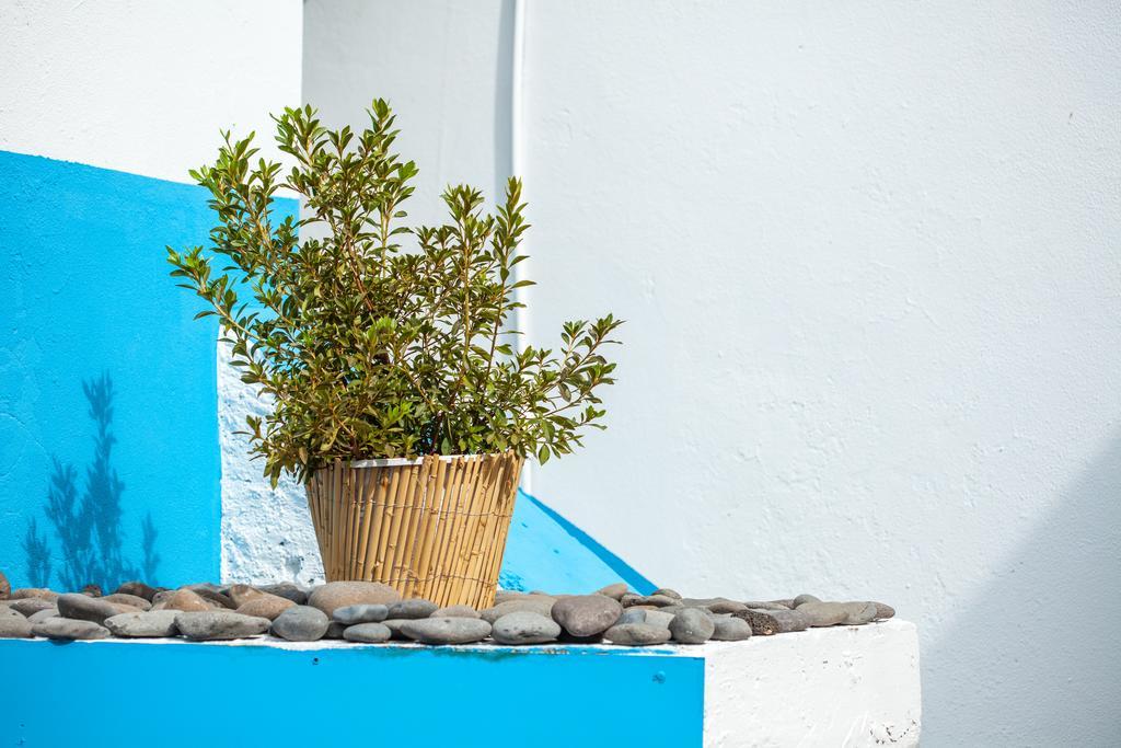 The Pallet - Guest House Santa Cruz  Ngoại thất bức ảnh